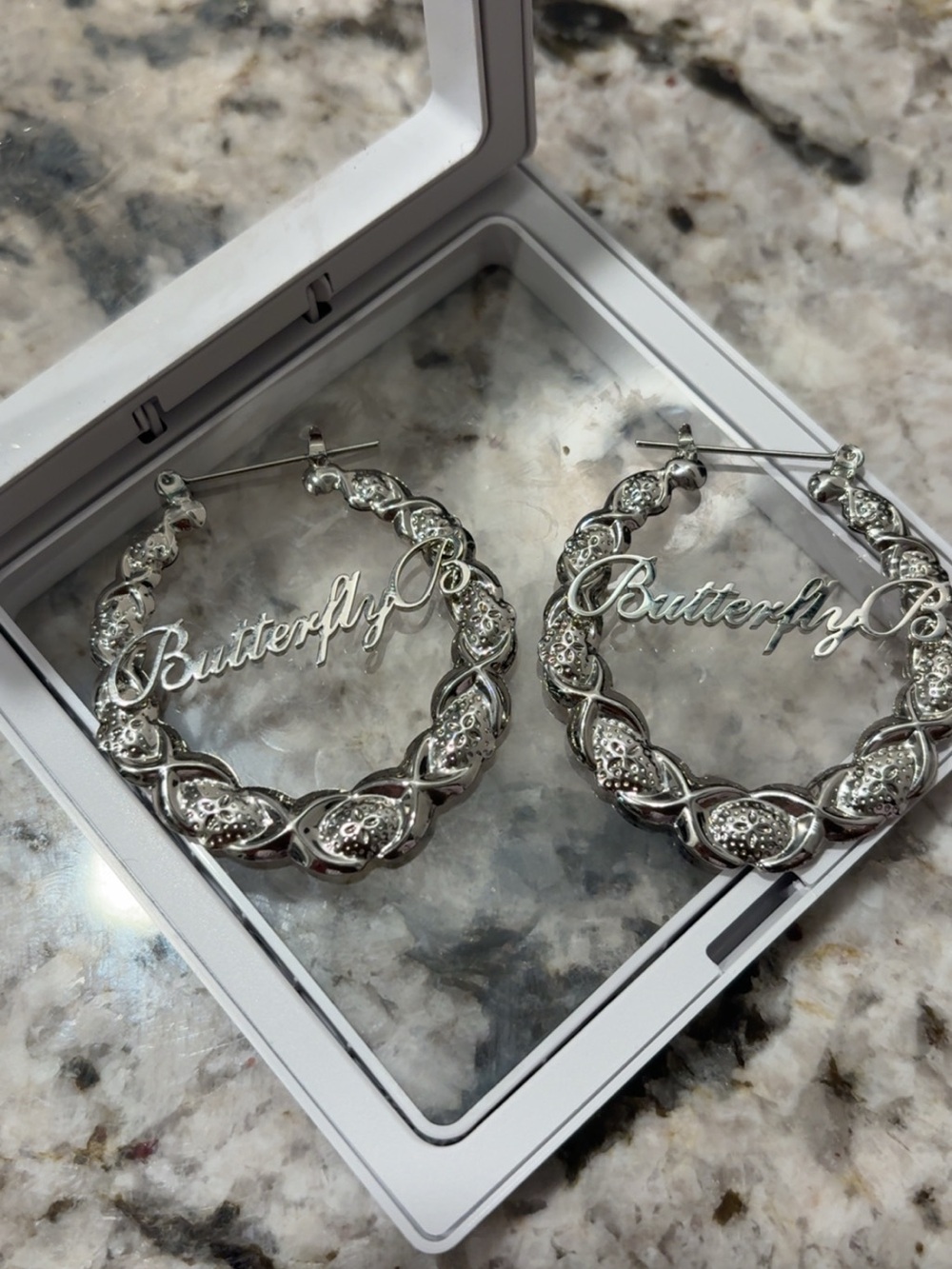 Hoop Earrings in Silver